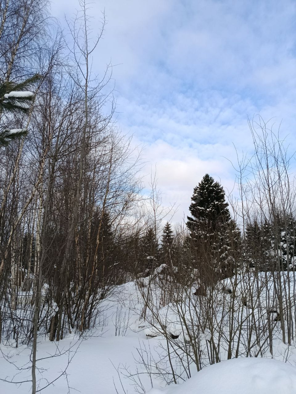 Продам участок 10 соток для реализации мечты с нуля.

Тишина деревенской глубинки в 8 минутах от города.
Дорога ,автобусная остановка в 12 минутах (автобусы каждый час).

Готов к продаже.
Школа в шаговой доступности.
Магазины и вся инфраструктура - рядом.
Межевание сделано летом 2025 года.
Кадастров