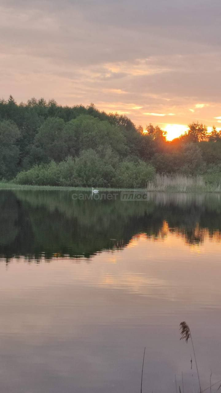 Продаю участки:
СНТ Аммофос № 2.
19 линия.№680
Участок 5 соток.

18 линия.№653-
Поднят, подсыпан , 
готов к строительству.
Сделано межевание.

Продается уникальный участок для тех, кто мечтает
 о загородной жизни, но не хочет быть оторванным от цивилизации.
 Главное богатство этого места — его окруж